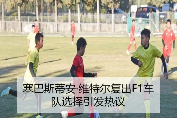 塞巴斯蒂安·维特尔复出F1车队选择引发热议